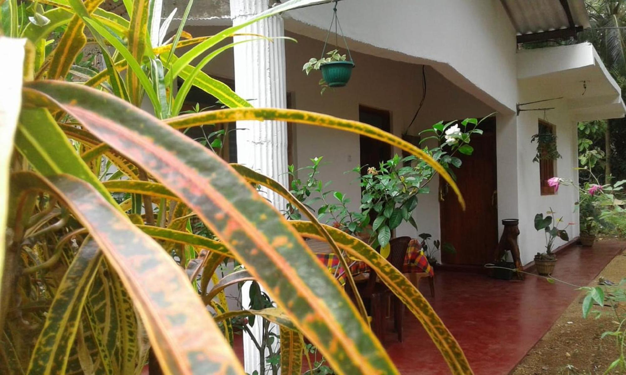 Winstar Homestay Sigiriya Exterior photo